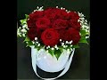 وردة حمرة وقلب الحب 
