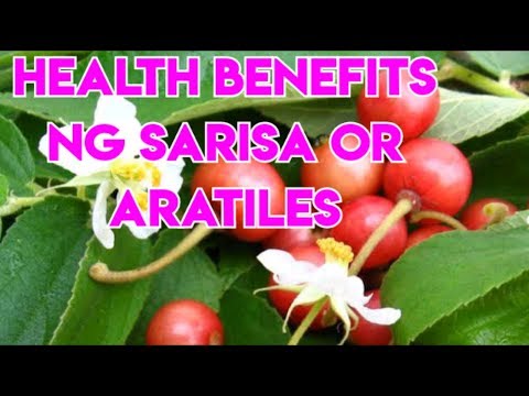 Health benefits ng Sarisa or Aratiles II Dagdag Kaalaman