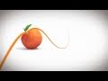 Logo Animation SOFA