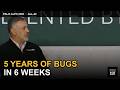 Palo Alto Networks CEO: "AI Found 5 Years of Bugs in 6 Weeks" | All-In