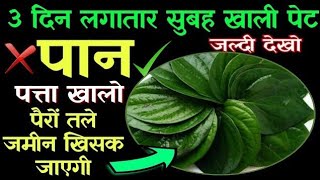 Betel Leaves benefits | रिश्तों में प्यार बढ़ाने से लेकर दर्द से राहत तक ये हैं पान के फायदे