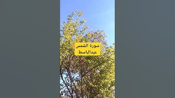 سورة الشمس بصوت القارئ عبدالباسط عبدالصمد