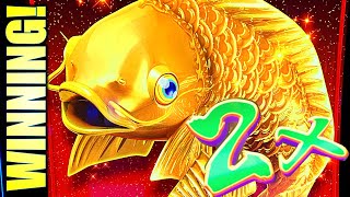 WINNER WINNER, FISH DINNER! RISING KOI & PHOENIX FA Slot Machine Wins (Konami)