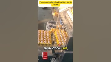 The Amazing Egg Packing Machine in Action!