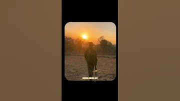 𝗖𝗢𝗕𝗥𝗔 𝗖𝗢𝗠𝗠𝗔𝗡𝗗𝗢𝗦💀🔥 | CRPF | Indian Army Status