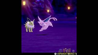 Chonky Espeon Races Jolteon #pokemon #pokemonswordshield #jolteon #espeon #chonkycat #cheetah