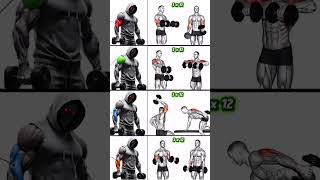 Full Arms Workout with dumbbells #fitness #gym #workout #shorts #exercise #muscle #tips #fyp