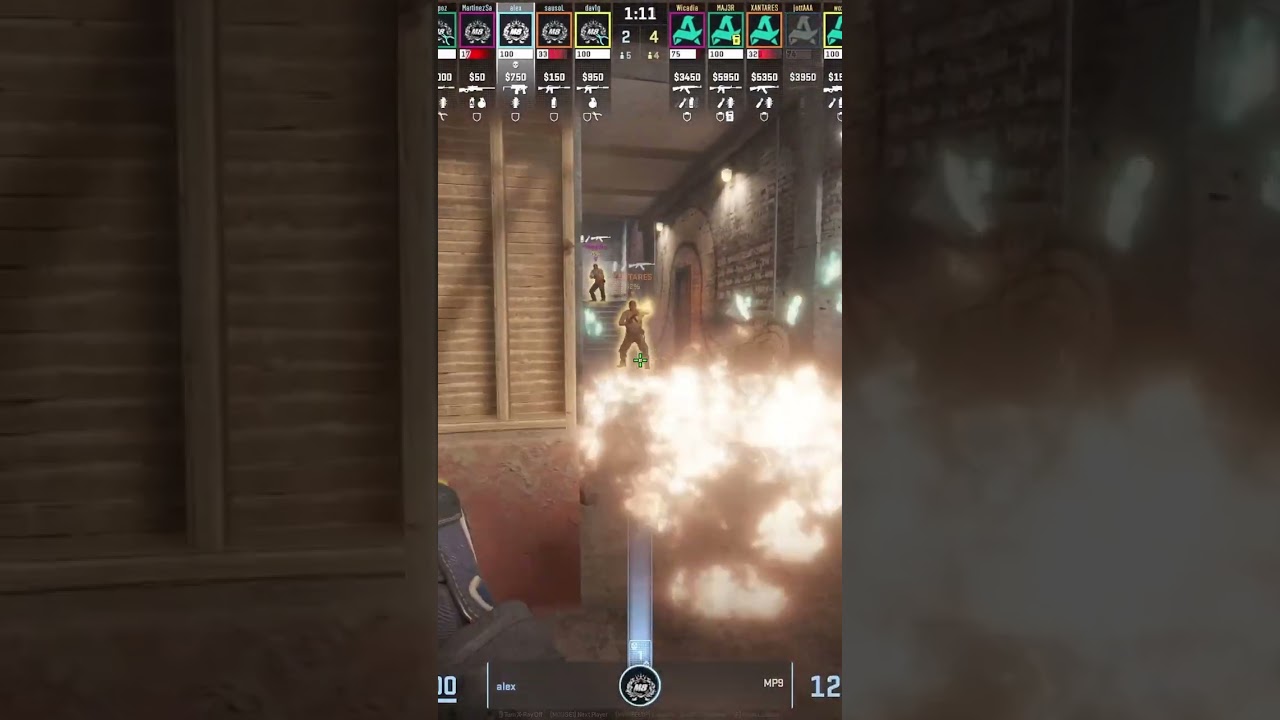 This dav1g Flash Blinds Everyone in Popdog (Train)