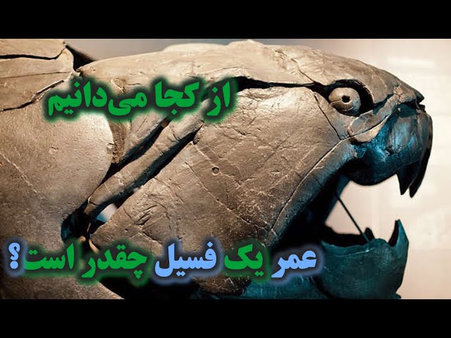 از کجا می‌دانیم عمر یک فسیل چقدر است؟