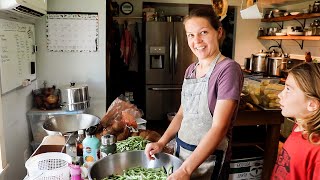 Work Now, Eat Later | Preserving Over 50 Lbs of Homegrown Produce