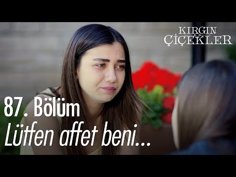 Lütfen affet beni... - Kırgın Çiçekler 87. Bölüm