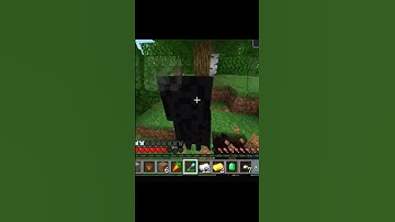 Minecraft but Block Drops Are RANDOM?! 🤯 #shorts