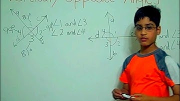 Vertical or Opposite Angles