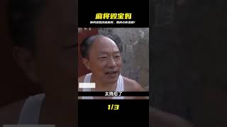 河南林州26歲寶媽只因沉迷麻將最終釀成慘劇 #炊事班的驴 #案件 #探案 #懸案 #懸疑