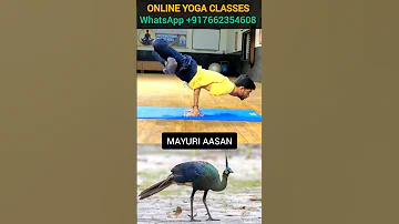 Mayuri Aasan : Advance Thumb balancing Yoga Aasan #yoga