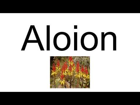 Aloion