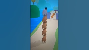 Capybara stack ￼￼