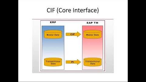 SAP TM Master Data   Class 2 Full HD
