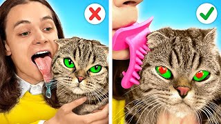 TikTok-Gadgets für KATZEN! KATZE SCHMUGGELN | Tricks für HAUSTIERBESITZER von La La Lebensfreude