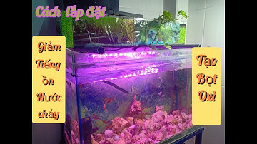 Hướng dẫn cách lắp đặt hồ cá giảm tiếng ồn nước chảy , tạo oxi  đẩy đáy đơn giản