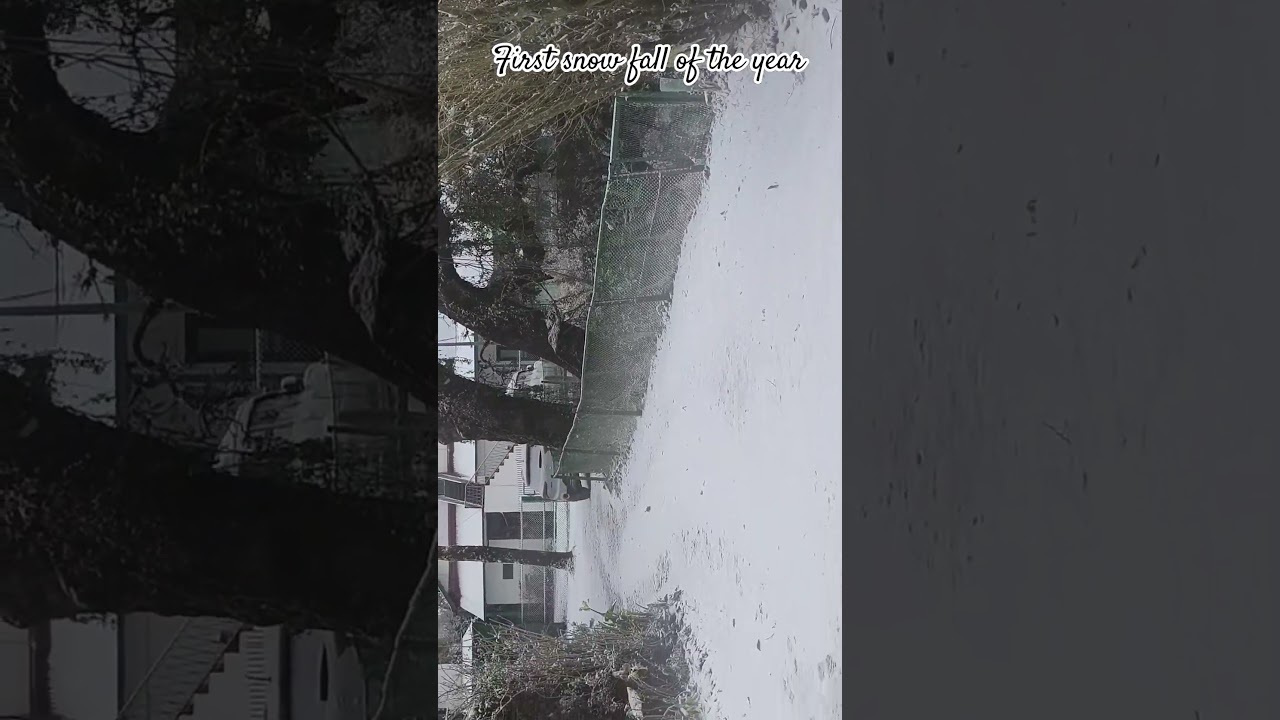 snow fall of the year 