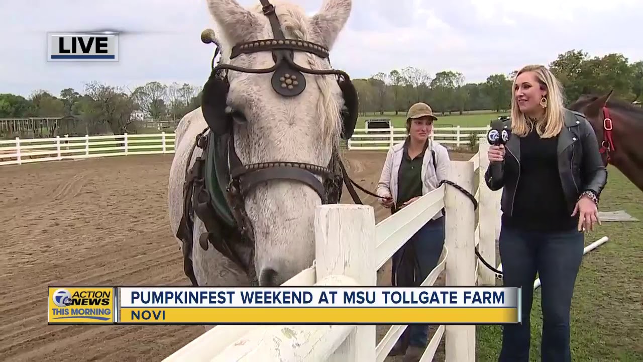 pumpkinfest 2019 south lyon PumpkinFest Weekend