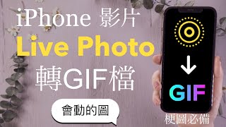 (Chinese)How to Convert Live Photos to Gifs on iPhone🌈