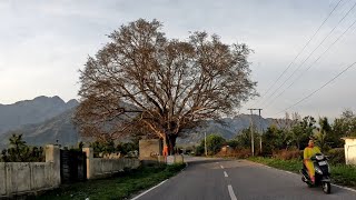 Beautiful and Peaceful Village Bhagtha, near SMVDU Katra | Mountain Villages of Jammu Kashmir, India by Taste and Travel 115 views 11 months ago 4 minutes, 12 seconds