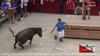 RESUMEN 2019  (8ª PARTE)  VACAS Y TOROS EN LOS PUEBLOS  (FALCESNAVARRA)