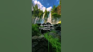 تلاوة جميلة للقارئ الشيخ ياسر الدوسري قرآن كريم آيات مريحة للقلب #راحة_نفسية #صلوا_على_النبي