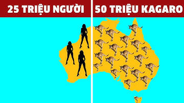 30 Sự Thật Thú Vị CHỈ Có Thể Tồn Tại Ở Nước Úc | 100 Facts Gói Lại Bán Đê #35