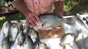 Cleaning Crappie The Old Fisherman Way
