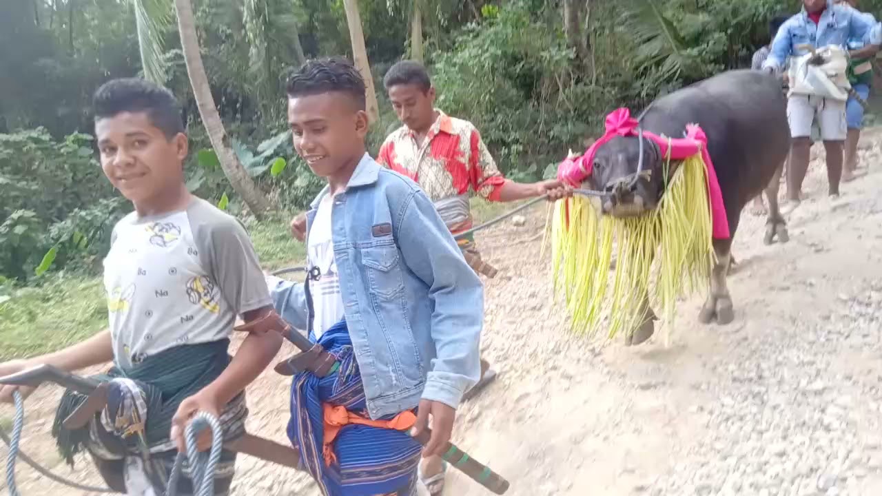 Budaya orang Sumba-Lamboya