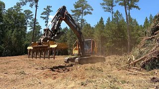 Raking And Stacking More Clearing