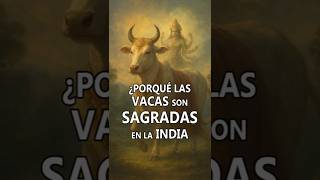 Porqué Las Vacas Son Sagradas En La India? La Historia Detrás De Una Creencia Milenaria