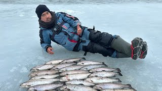 Ловим беглую форель на Финском заливе | Очень азартная рыбалка | Адреналин зашкаливает