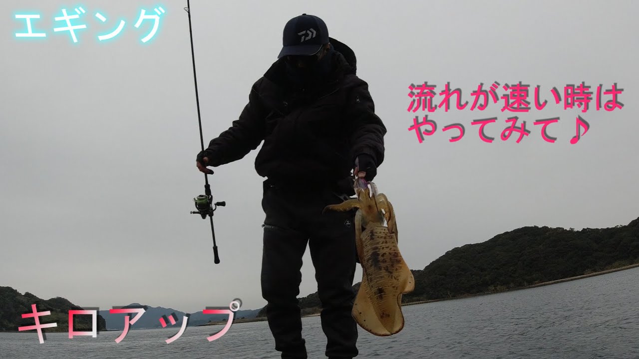 【エギング】潮に流して冬のアオリイカを釣る（バックドリフト編）キロアップを含め２杯