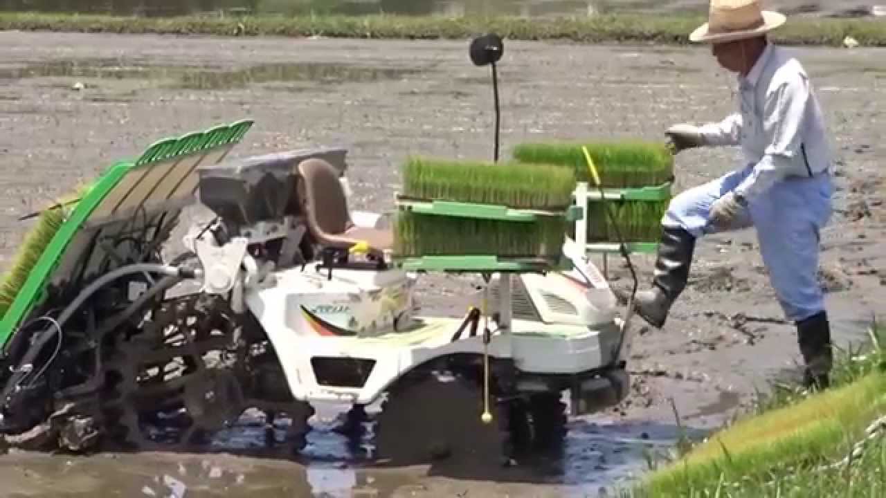 ヤンマー田植え機 早くて綺麗で凄いね！ - YouTube
