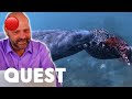 🔴 Could The Loch Ness Monster Be A Living Fossil? | Monsters Of The Abyss