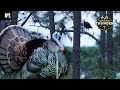 Opening Day Osceola Turkey | Opening Day | Spring Thunder