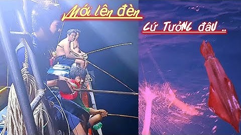 Mới lên đèn mực ăn lia lịa làm hết hồn #sóng biển hứa đông