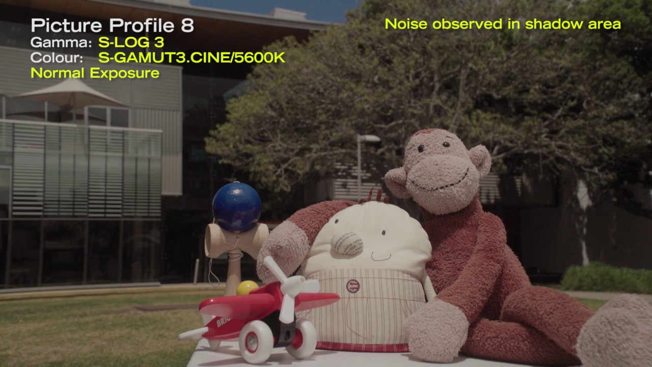 Sony FS5 Picture Profiles - Exterior Scene