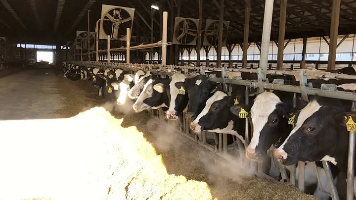 Manure Management (Part 1)