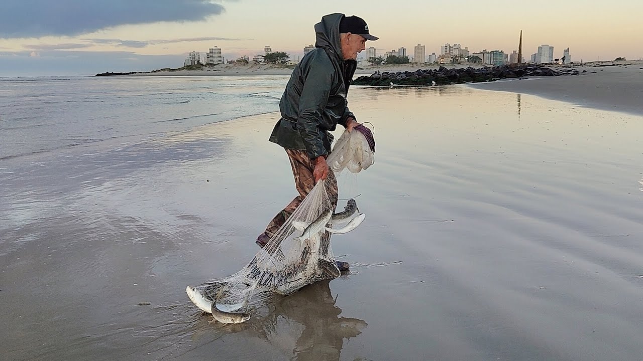 Pescas de tarrafas, 12-06-25, Praia, Imbé, barco encalhado e tainhas nas tarrafas! #pescadetarrafa