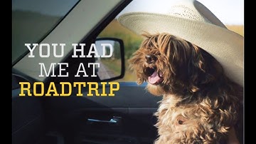 DIY Animated Social Post: how to add animated text to your videos in a few simple steps