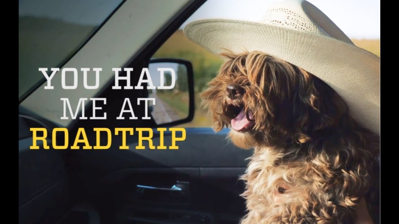 animated spider man DIY Animated Social Post: how to add animated text to your videos in a few simple steps