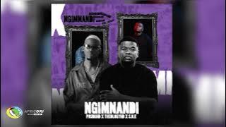 PrudiiHD, S.N.E and TheologyHD - Ngimnandi [Feat. Jay Sax]