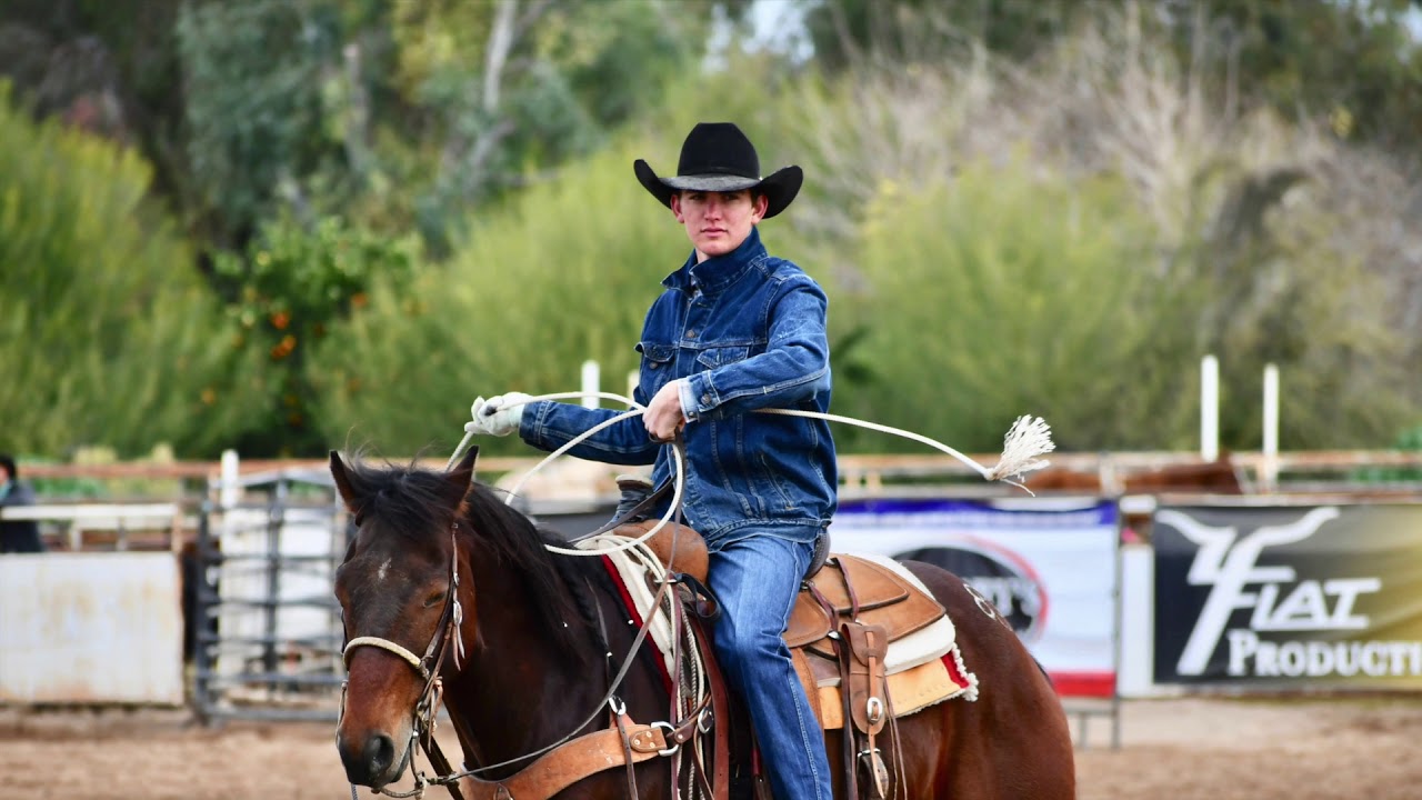 HERSHBERGER HORSE SALE 2019 YouTube