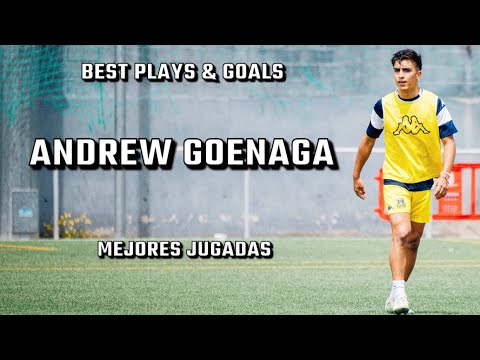 Andrew Goenaga