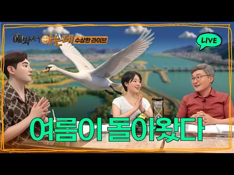 수상한 라이브ㅣ#큰고니 #낙동강하구에코센터